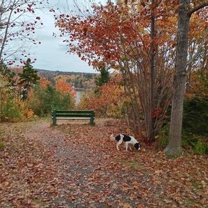 Meet your Posher, Tanya